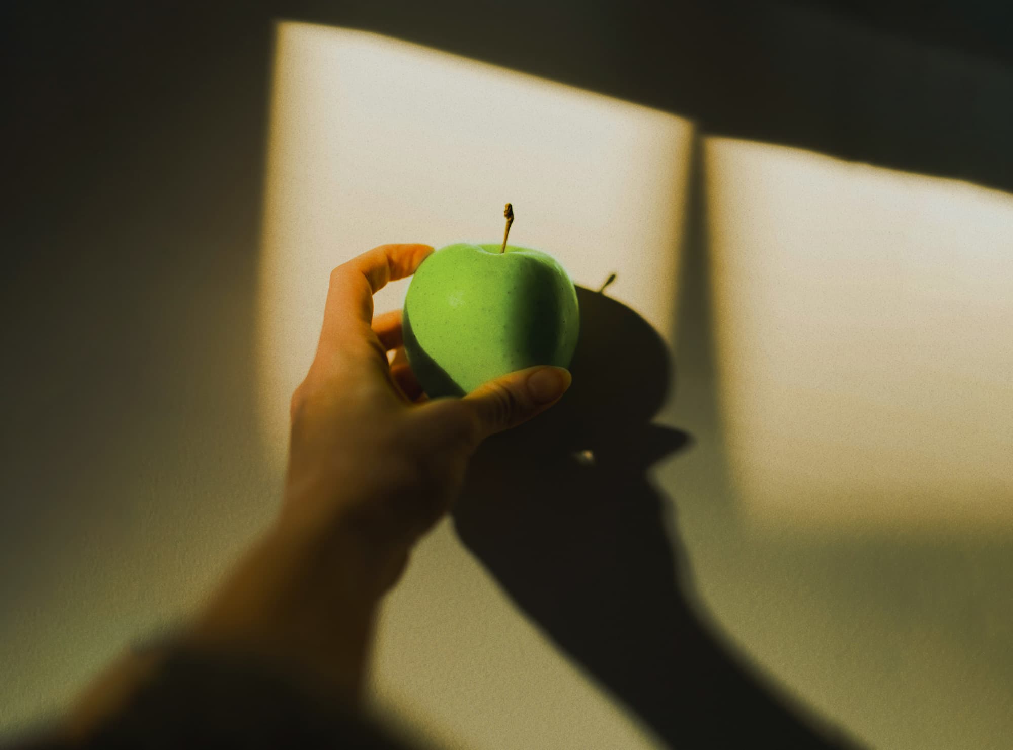 A hand holding a green apple in a shaft of afternoon light.